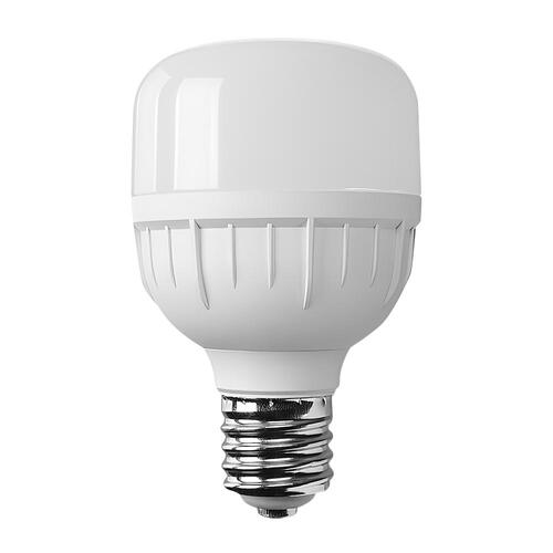 LED 전구 30W T100 벌브 램프 E39 소켓용 대모갈 주광색,전구색